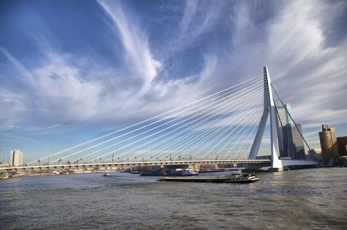 Erasmus bridge